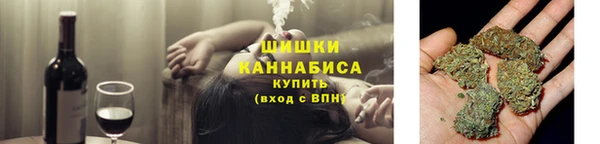 индика Абдулино